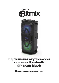 Ritmix SP-850B
