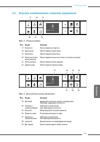 Страница 243