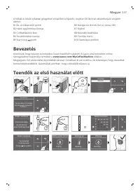 Страница 247