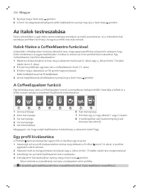 Страница 250