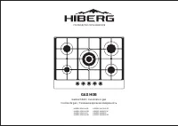 Hiberg VM 9055 RY
