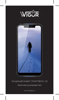Wigor V5 64 ГБ синий