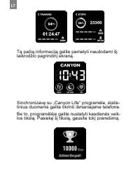 Страница 216