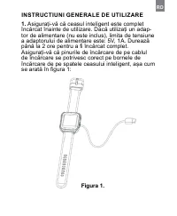 Страница 247