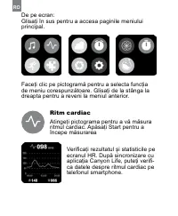 Страница 250