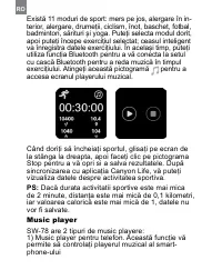 Страница 252