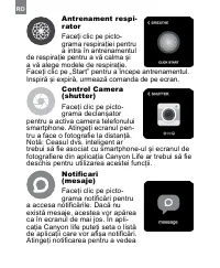 Страница 256