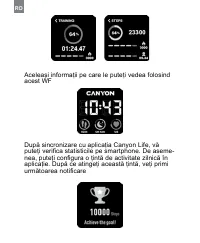 Страница 260