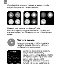 Страница 294