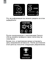 Страница 304