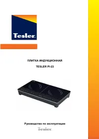 Tesler PI-23