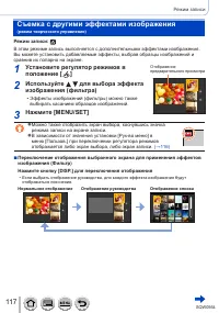 Страница 117