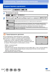 Страница 234