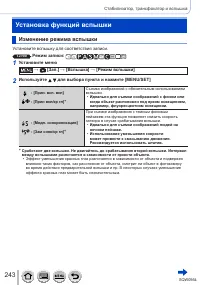 Страница 243