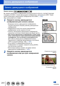 Страница 251