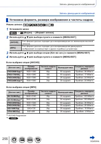 Страница 255