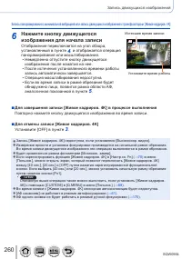 Страница 260