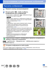 Страница 268