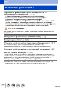 Страница 301