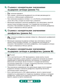 Страница 241