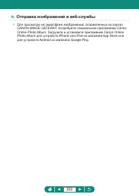 Страница 263