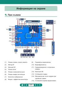 Страница 274