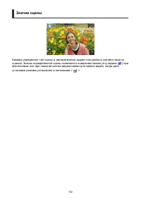 Страница 102