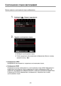 Страница 206