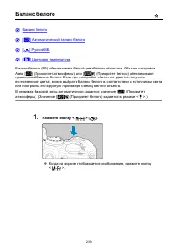 Страница 239