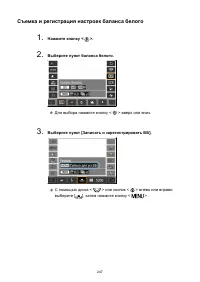 Страница 247