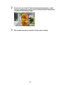 Страница 455