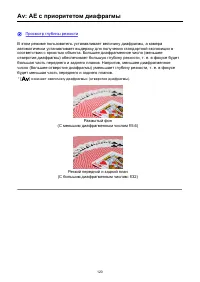 Страница 120