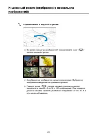 Страница 492