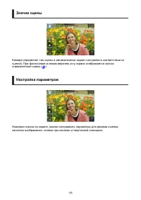 Страница 105