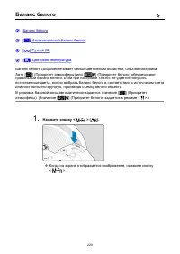 Страница 229