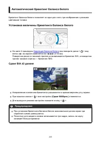 Страница 243