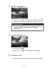 Страница 260