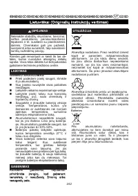 Страница 243