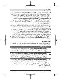 Страница 243