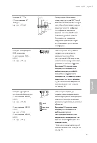 Страница 101