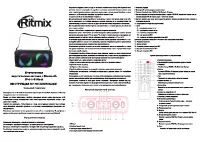 Ritmix SP-910B
