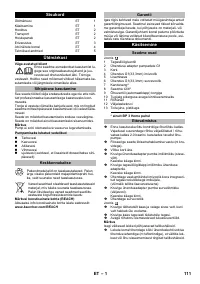 Страница 111