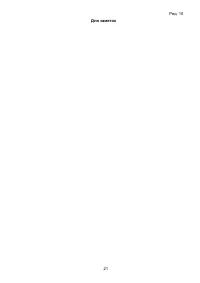Страница 21