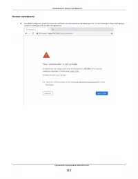 Страница 213