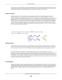 Страница 238