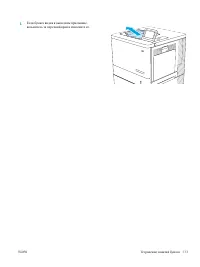 Страница 123