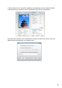 Страница 101