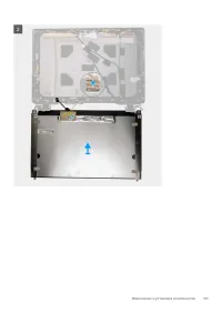 Страница 101