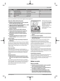 Страница 117