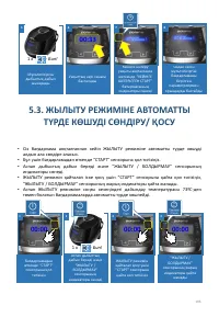 Страница 196